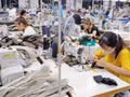 Confection de vêtements d'exportation. Photo : VNA