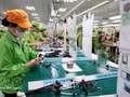 Ligne de production de faisceaux de câbles électriques chez la société Bandai Vietnam, implantée dans la zone industrielle Bo Trai, quartier de Hoa Binh, province de Phu Tho. Photo : VNA.