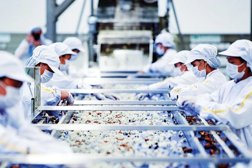 Photo d'illustration : vneconomy.vn