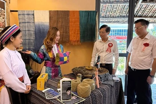 La tradition du lin chez les Hmong se perpétue grâce au projet Chanvre Hmong Vietnam. Photo: sovhttdl.tuyenquang.gov.vn