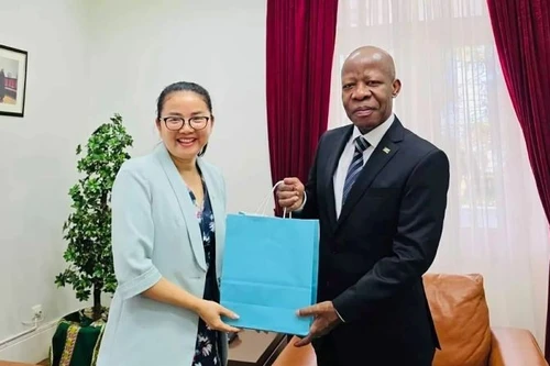 L'ambassadrice du Vietnam au Mozambique, Tran Thi Thu Thin (à gauche), et le président de la Cour suprême du Mozambique, Adelino Manuel Muchanga. Photo: Ambassade du Vietnam au Mozambique