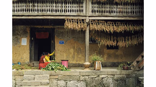Un après-midi d'été à la « Maison de Pao » ảnh 11 Un après-midi d'été à la « Maison de Pao » ảnh 11