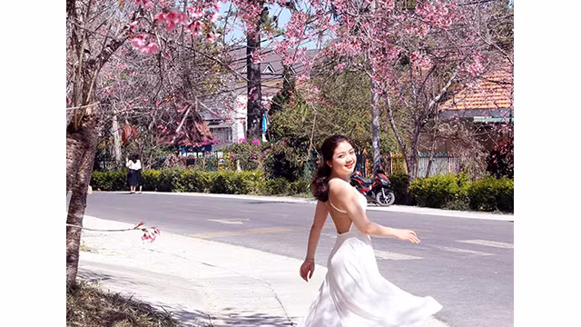 Les fleurs de cerisier illuminent la ville montagneuse de Dà Lat ảnh 2