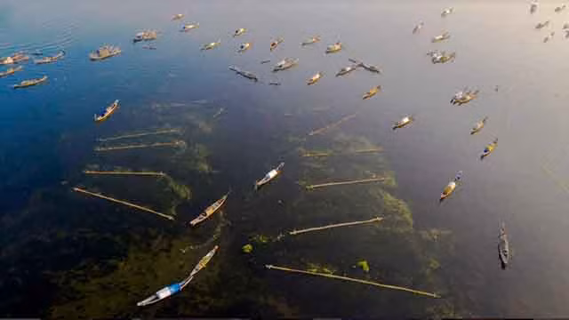Le marais de Quang Loi, destination incontournable de la lagune de Tam Giang ảnh 3
