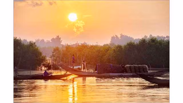 Le marais de Quang Loi, destination incontournable de la lagune de Tam Giang ảnh 6