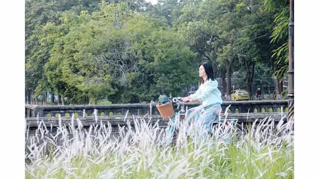 Les visiteurs enthousiasmés par la prise de photos des fleurs d’imperata cylindrica à la Cité pourpre interdite ảnh 9