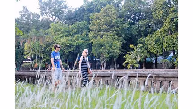 Les visiteurs enthousiasmés par la prise de photos des fleurs d’imperata cylindrica à la Cité pourpre interdite ảnh 10