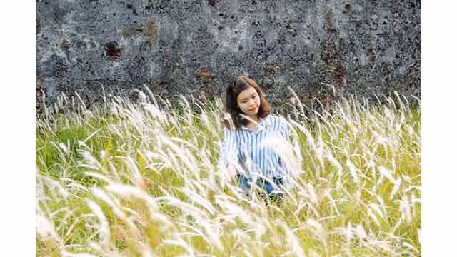 Les visiteurs enthousiasmés par la prise de photos des fleurs d’imperata cylindrica à la Cité pourpre interdite ảnh 4
