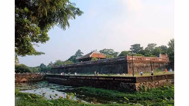 Les visiteurs enthousiasmés par la prise de photos des fleurs d’imperata cylindrica à la Cité pourpre interdite ảnh 3