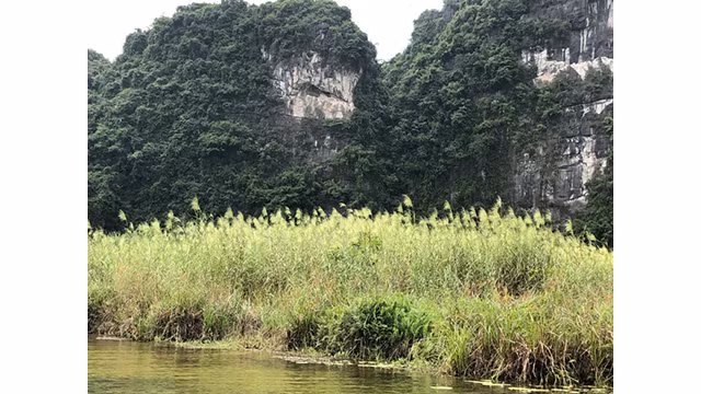 L’air salubre à Tràng An ảnh 5