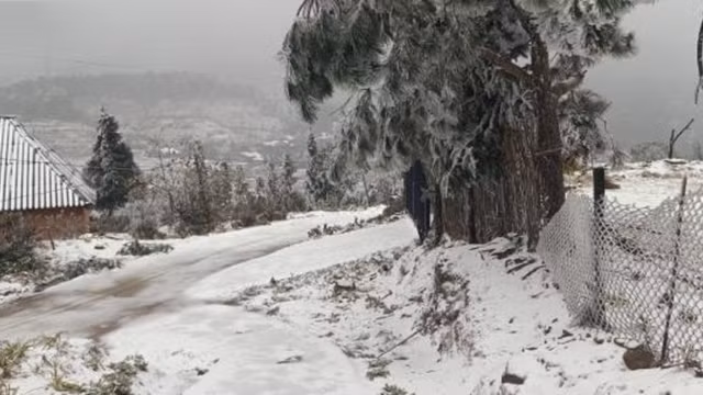 Il neige à Y Ty et à Sa Pa ảnh 8