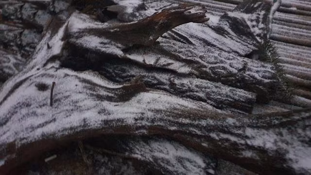 Il neige à Y Ty et à Sa Pa ảnh 10