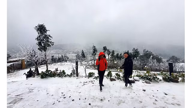 Il neige à Y Ty et à Sa Pa ảnh 6