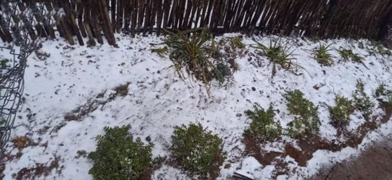 Il neige à Y Ty et à Sa Pa ảnh 13