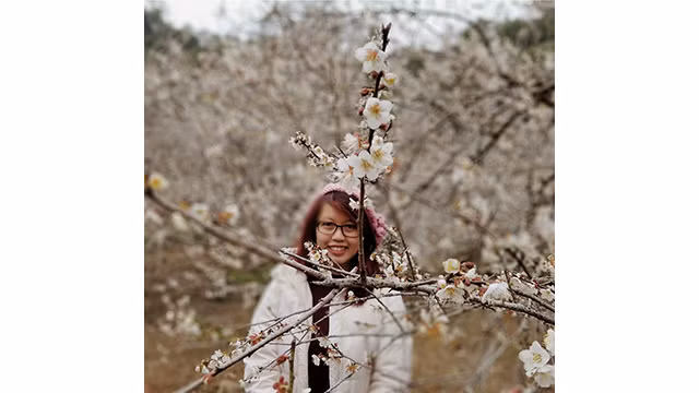 La beauté surprenante au paradis de fleurs d’abricotier à Môc Châu ảnh 6 La beauté surprenante au paradis de fleurs d’abricotier à Môc Châu ảnh 6