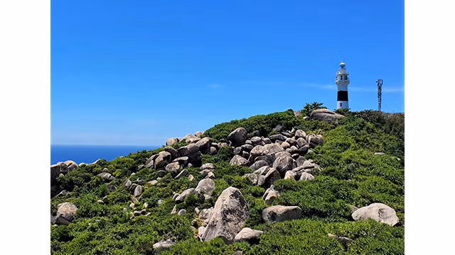  Tourisme estivale sur l’île de Cu Lao Xanh ảnh 5