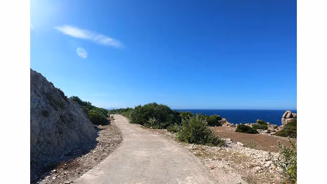  Tourisme estivale sur l’île de Cu Lao Xanh ảnh 4