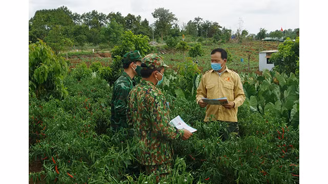 Tây Nguyên avant le jour des élections ảnh 6
