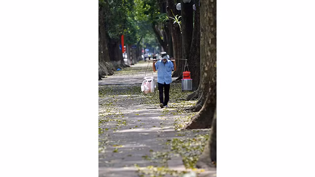 Hanoï à la saison de changement de feuilles ảnh 18