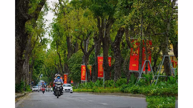Hanoi brille avec des fleurs et des drapeaux en l’honneur du 130e anniversaire du Président Hô Chi Minh ảnh 3