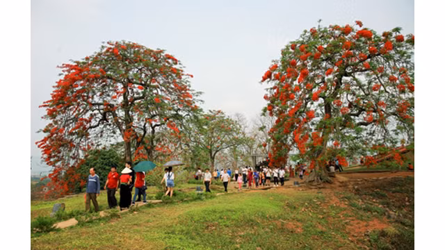 Diên Biên Phu d’aujourd'hui ảnh 6