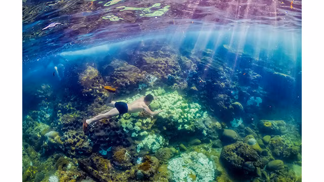Quang Ngai, un « village de pêcheurs » unique attire les visiteurs ảnh 3