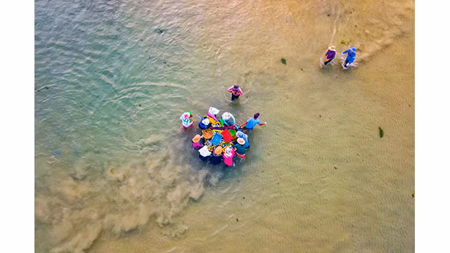 Quang Ngai, un « village de pêcheurs » unique attire les visiteurs ảnh 5