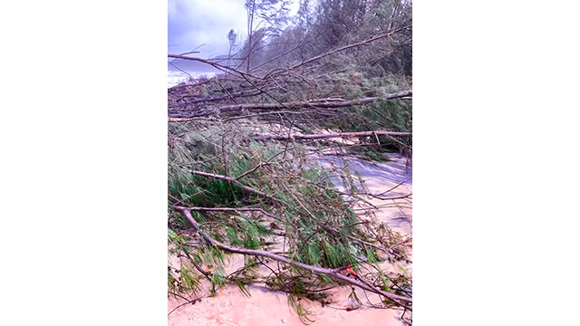 Après la tempête et les crues, la plage de Thua Thiên Huê a subi de lourds dégâts ảnh 7