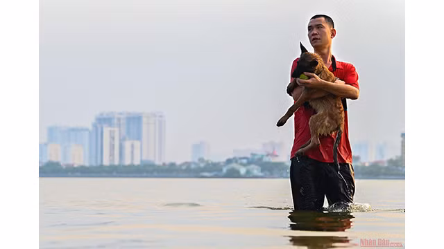 Hanoi fait face à une chaleur féroce en juin ảnh 9 Hanoi fait face à une chaleur féroce en juin ảnh 9