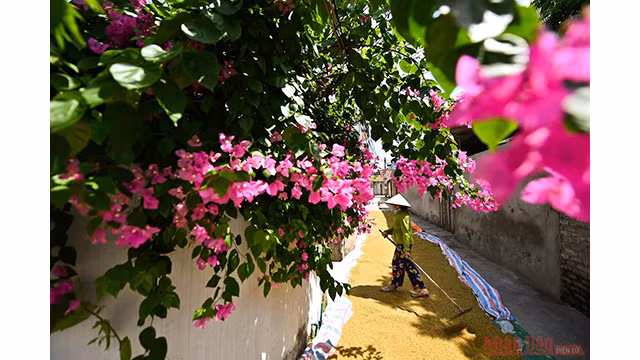 Hanoi fait face à une chaleur féroce en juin ảnh 5