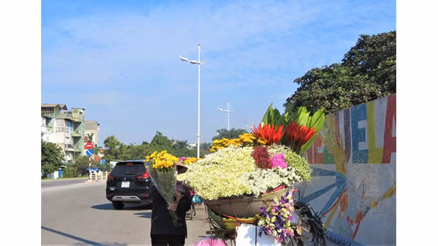 Hanoi brille de couleurs de fleurs d’automne ảnh 1