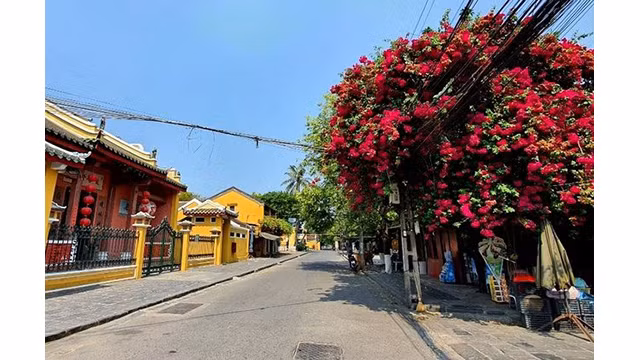 La vieille ville de Hôi An est calme pendant les jours de l’épidémie de Covid-19 ảnh 6 La vieille ville de Hôi An est calme pendant les jours de l’épidémie de Covid-19 ảnh 6