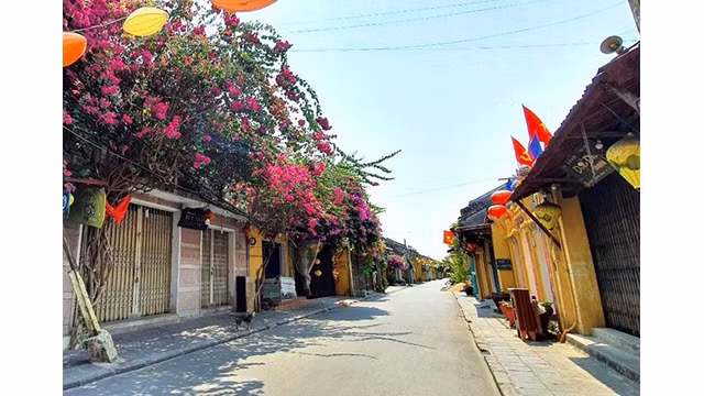 La vieille ville de Hôi An est calme pendant les jours de l’épidémie de Covid-19 ảnh 8 La vieille ville de Hôi An est calme pendant les jours de l’épidémie de Covid-19 ảnh 8
