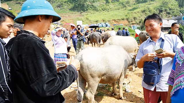  Le marché aux buffles de Can Câu ảnh 4