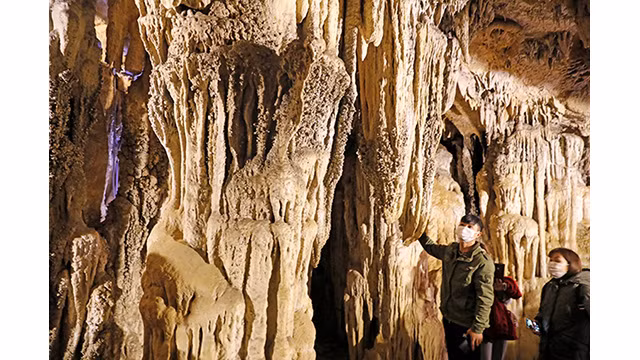 Le complexe de grottes du bourg de Cao Phong ảnh 3