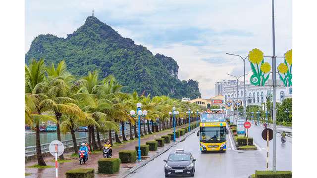 Des touristes étrangers à Halong sont enthousiastes avec des bus à deux étages ảnh 4 Des touristes étrangers à Halong sont enthousiastes avec des bus à deux étages ảnh 4