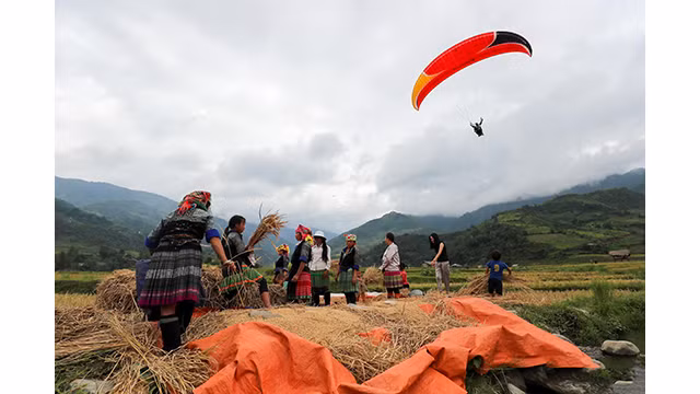 Expérience de parapente au-dessus des rizières dorées à Mù Cang Chai ảnh 13