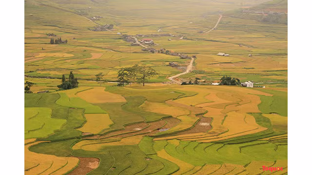 Expérience de parapente au-dessus des rizières dorées à Mù Cang Chai ảnh 1