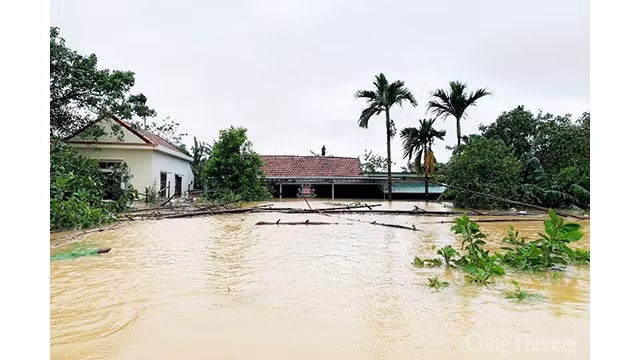 Les cœurs du Centre du Vietnam ảnh 1