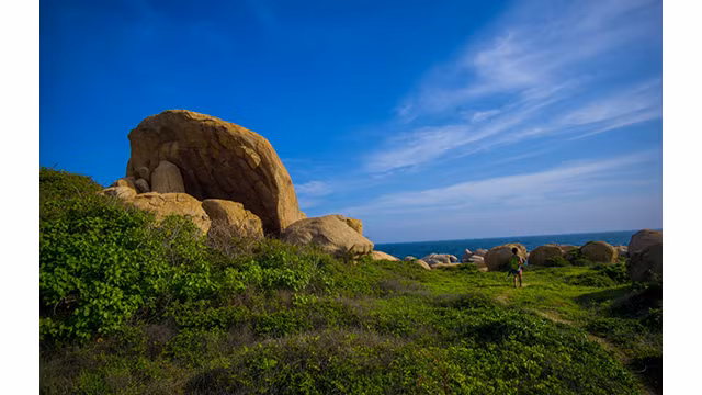 Jardin de rochers sur l'île de Hòn Câu ảnh 8
