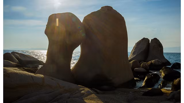 Jardin de rochers sur l'île de Hòn Câu ảnh 7