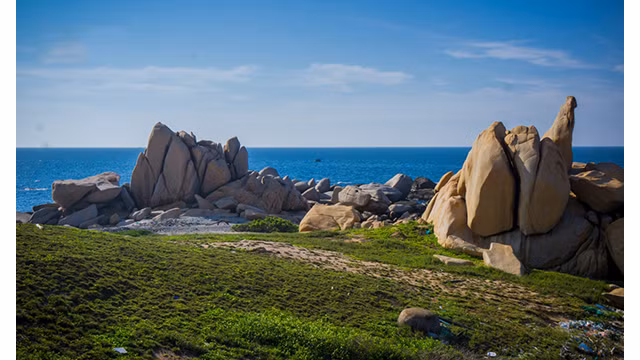 Jardin de rochers sur l'île de Hòn Câu ảnh 9