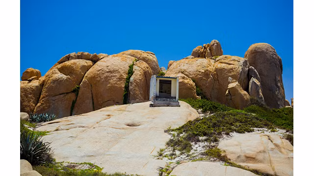 Jardin de rochers sur l'île de Hòn Câu ảnh 12
