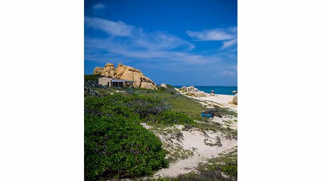 Jardin de rochers sur l'île de Hòn Câu ảnh 13