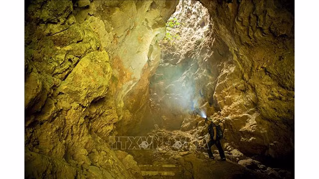 Découverte de la beauté merveilleuse de la grotte de Thiên Huong à Ninh Binh ảnh 2