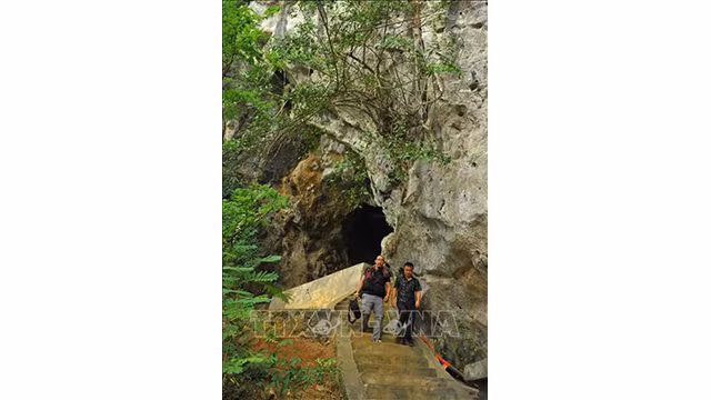 Découverte de la beauté merveilleuse de la grotte de Thiên Huong à Ninh Binh ảnh 3
