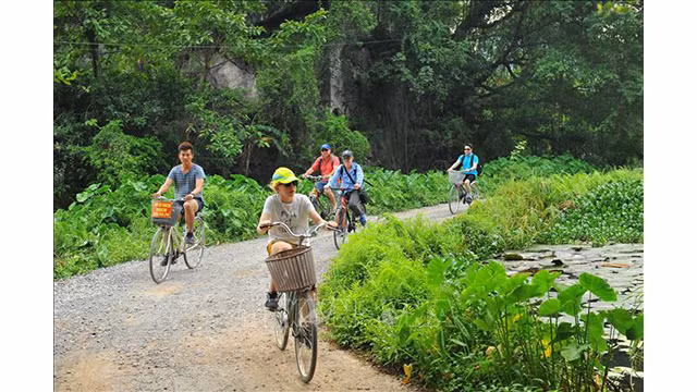 Découverte de la beauté merveilleuse de la grotte de Thiên Huong à Ninh Binh ảnh 6