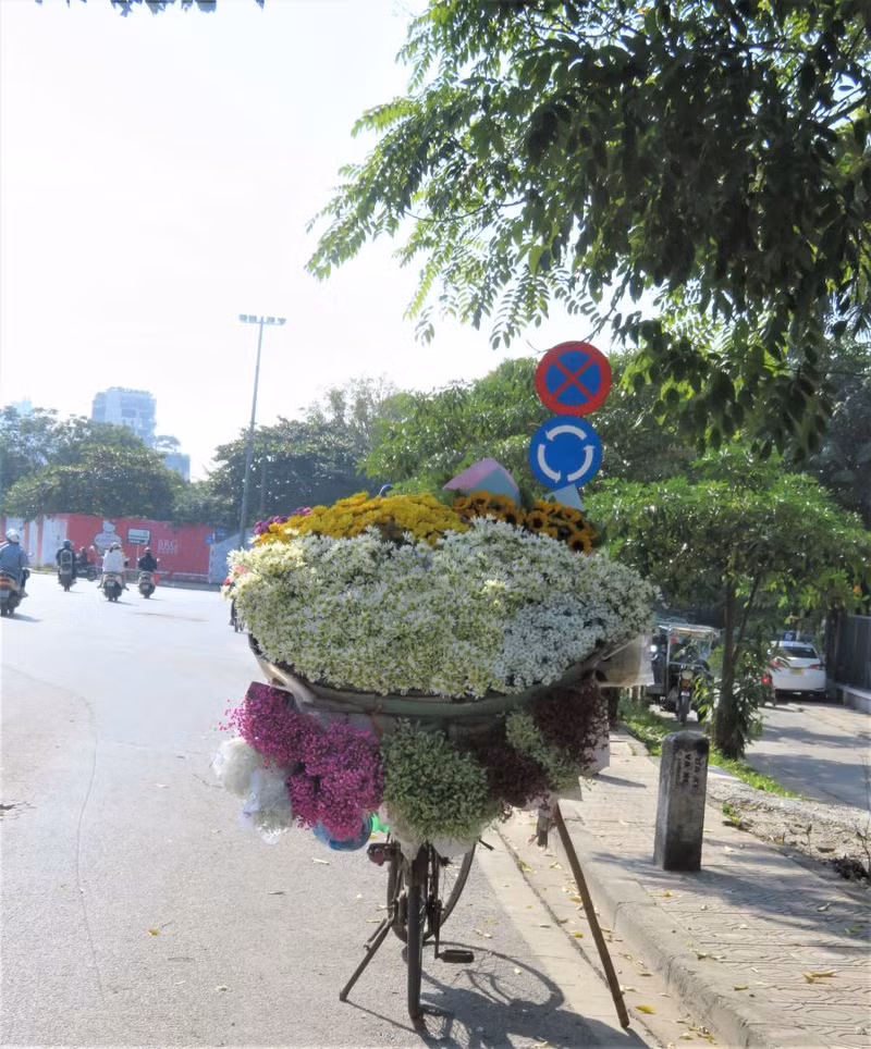 Hanoi brille de couleurs de fleurs d’automne ảnh 10