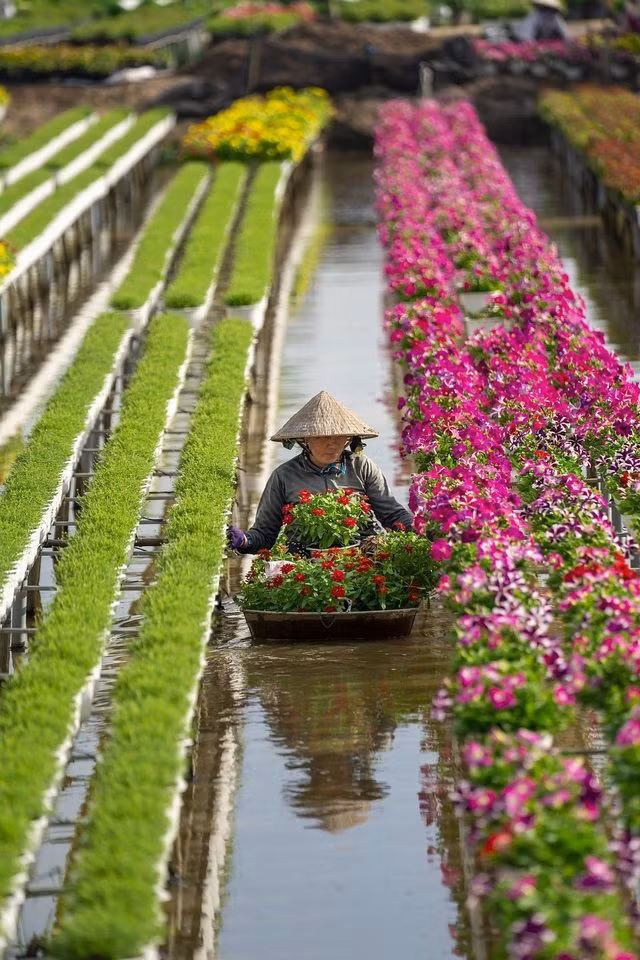 Un photographe vietnamien primé au concours #Spring2020 ảnh 5