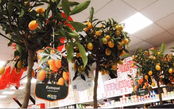Marché du Têt traditionnel vietnamien au cœur de Paris ảnh 1